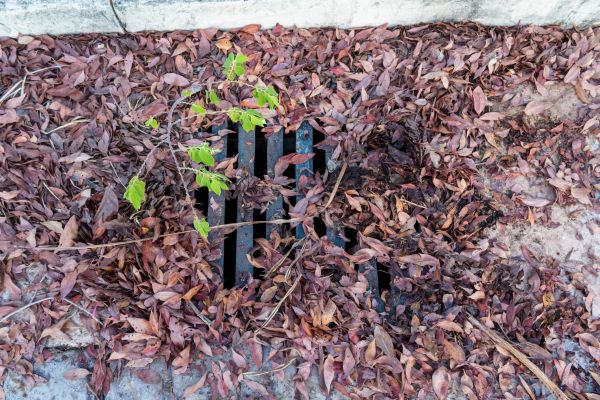 Cost of Yard Drain Unclogging in Murfreesboro