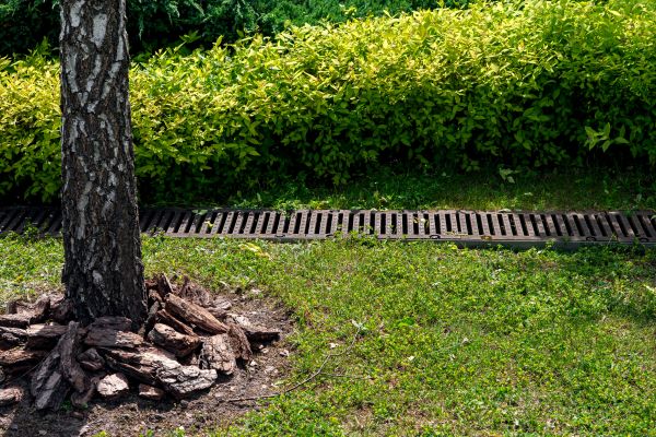 Cost of Yard Water Redirection in Murfreesboro