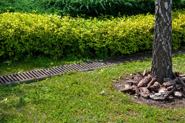 Cost of Residential Landscape Drainage in Murfreesboro