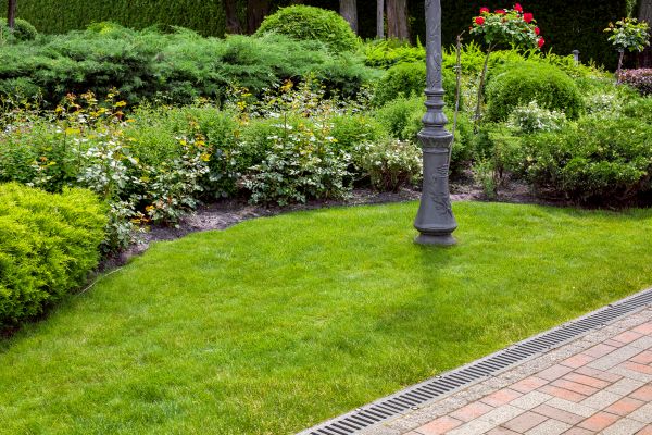 Landscaping Drainage