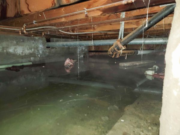 Cost of Crawlspace Drainage in Murfreesboro