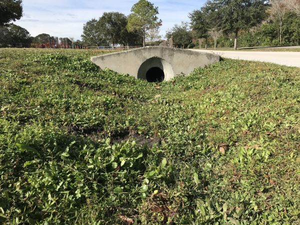 Cost of Swale Drainage Service in Murfreesboro